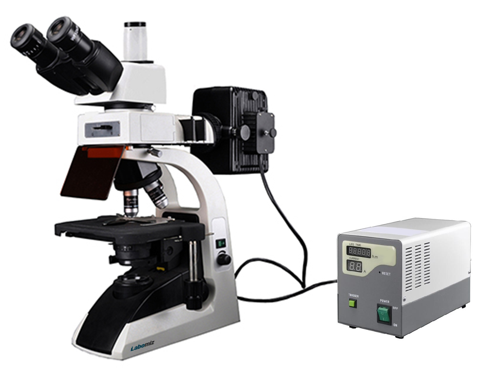 Fluorescence Biological Microscope MFBM-2B