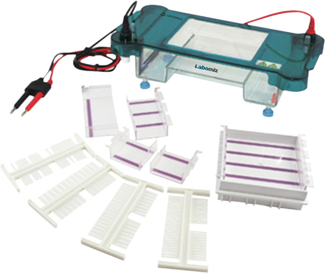 Horizontal Electrophoresis Unit MHEU-2C