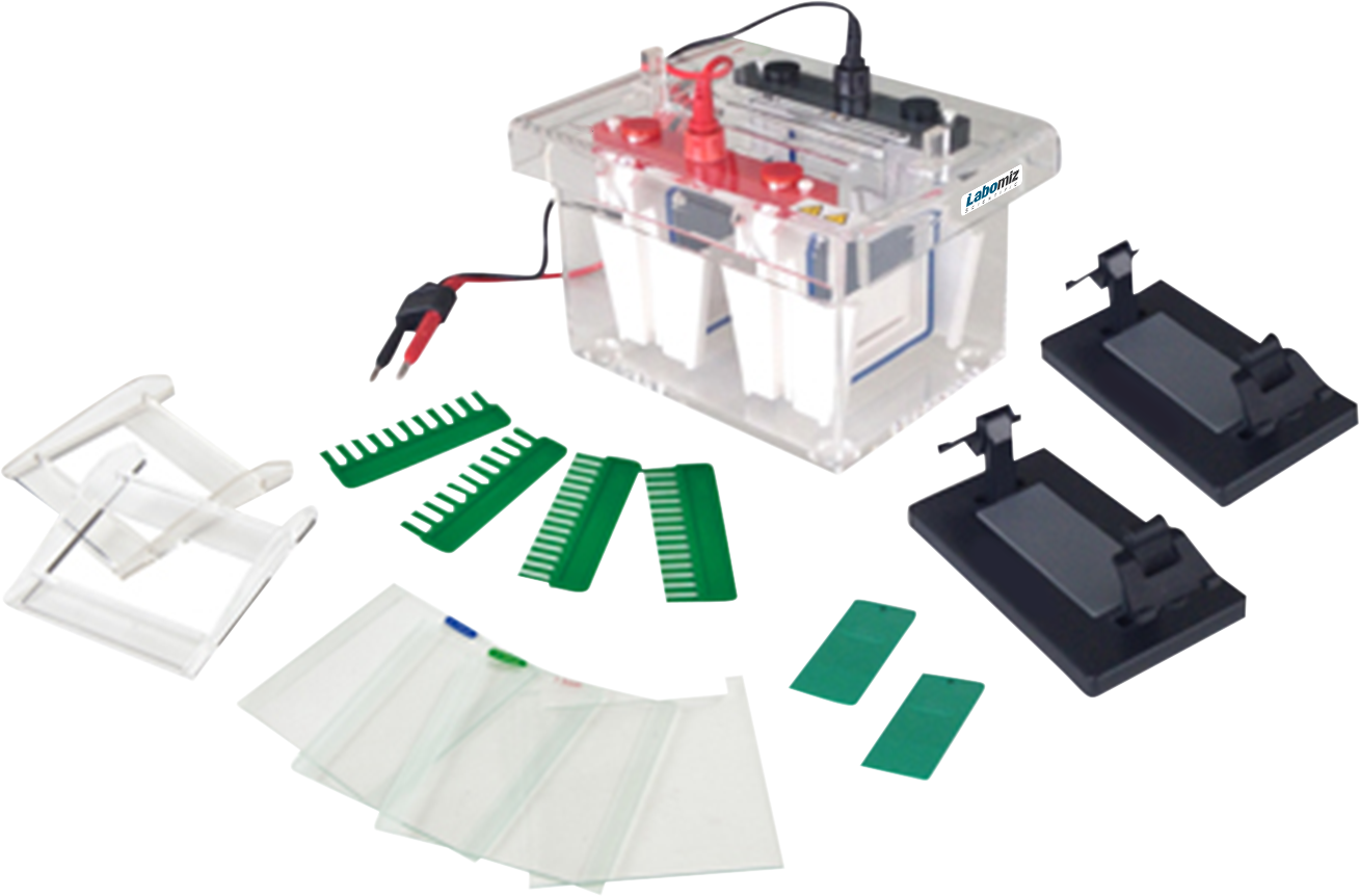Vertical Electrophoresis Unit MVEU-2B